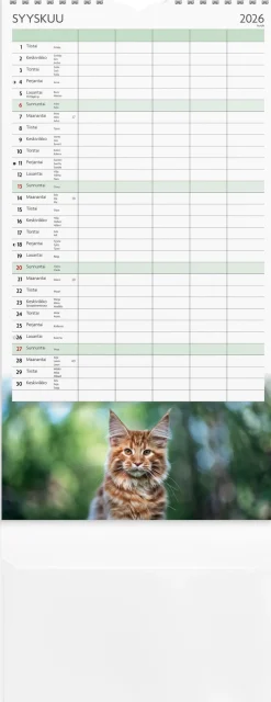 Perhekalenteri Kissat 2026