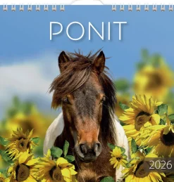 Ponit 2026