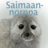 Saimaannorppa
