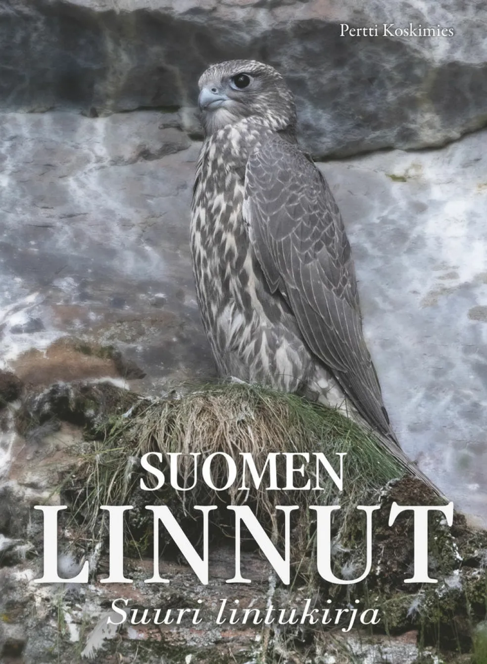 Suomen linnut - Suuri lintukirja