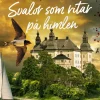 Svalor som ritar på himlen
