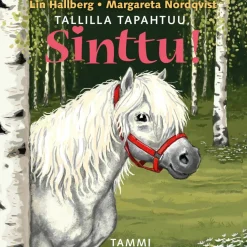 Tallilla tapahtuu, Sinttu