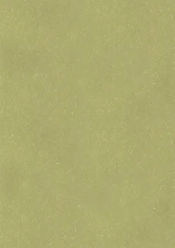 Tulostuspaperi A4/10 kpl Kaisla vihreä