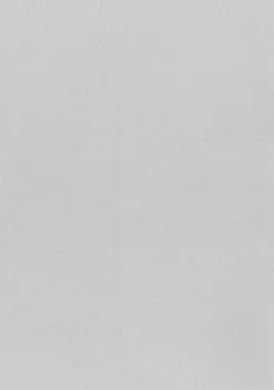 Tulostuspaperi A4/10 kpl shampanja, helmiäinen 2 puoleinen