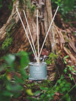 Tuoksudiffuuseri Koivumetsä Metsä/Skogen 100 ml