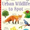 Urban Wildlife to Spot