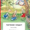 Vad händer i skogen?