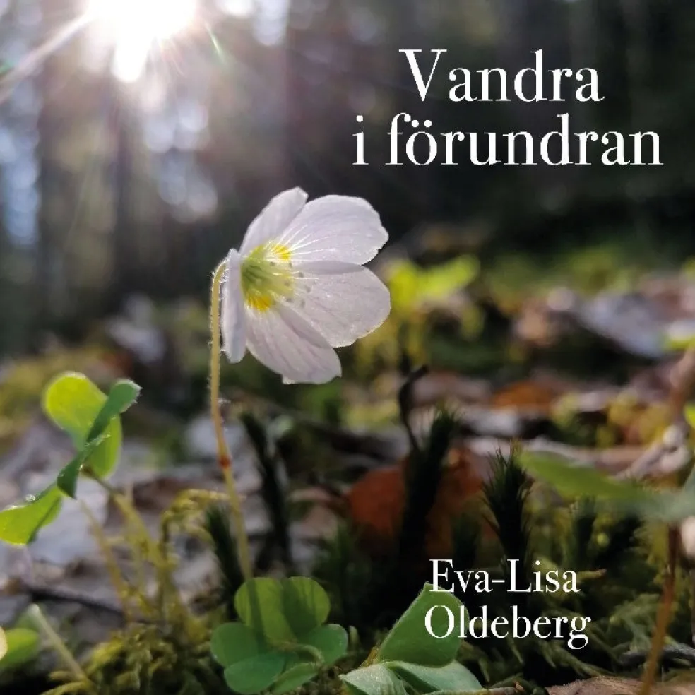Vandra i förundran : Om och med naturmeditationer.