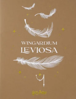 Vihko Moleskine XL Harry Potter Wingardium