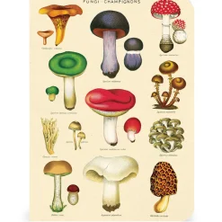 Vihkosetti 3kpl Jardin Cavallini