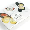 Väritettävä postikorttisetti Pepinpress Natural History