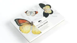 Väritettävä postikorttisetti Pepinpress Natural History