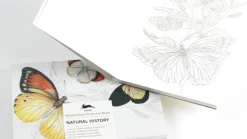 Väritettävä postikorttisetti Pepinpress Natural History