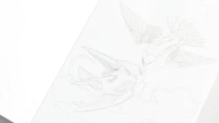 Väritettävä postikorttisetti Pepinpress Natural History