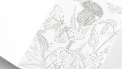 Väritettävä postikorttisetti Pepinpress Natural History