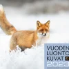 Vuoden luontokuvat 2023