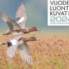 Vuoden Luontokuvat 2024