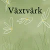 Växtvärk