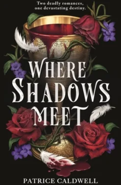 Where Shadows Meet