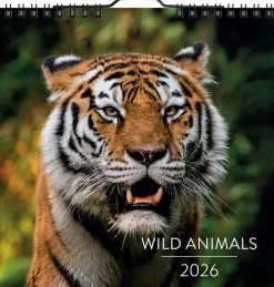 Wild animals 2026