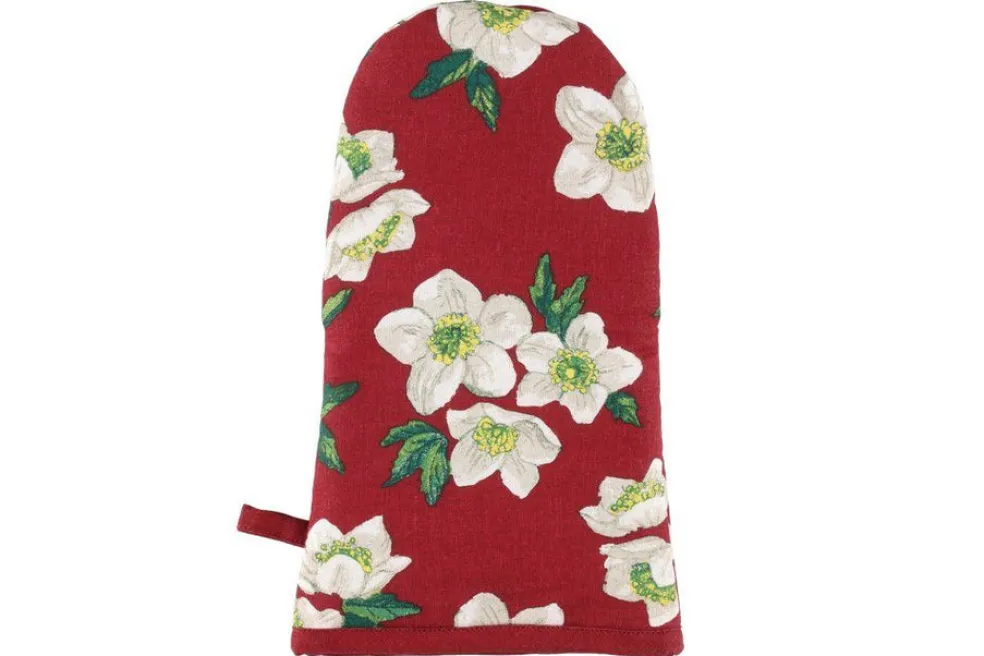 Winteria Patakinnas Helleborus 18x30 cm